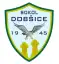 TJ Sokol Dobšice