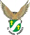 Sokol Dobšice